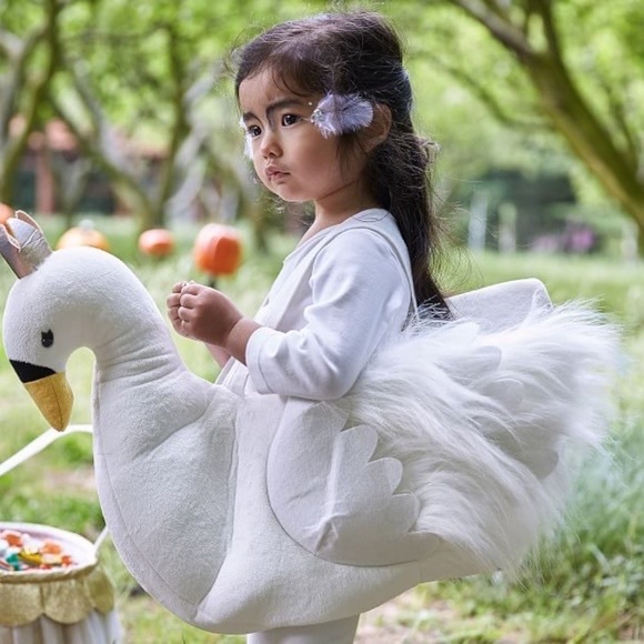 Pottery Barn Kids Costumes Pottery Barn Kids Swan Costume Size